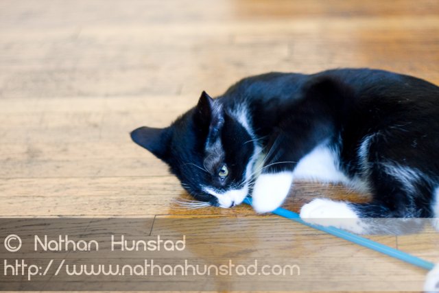 Misha_2008-08-06_IMG_1006